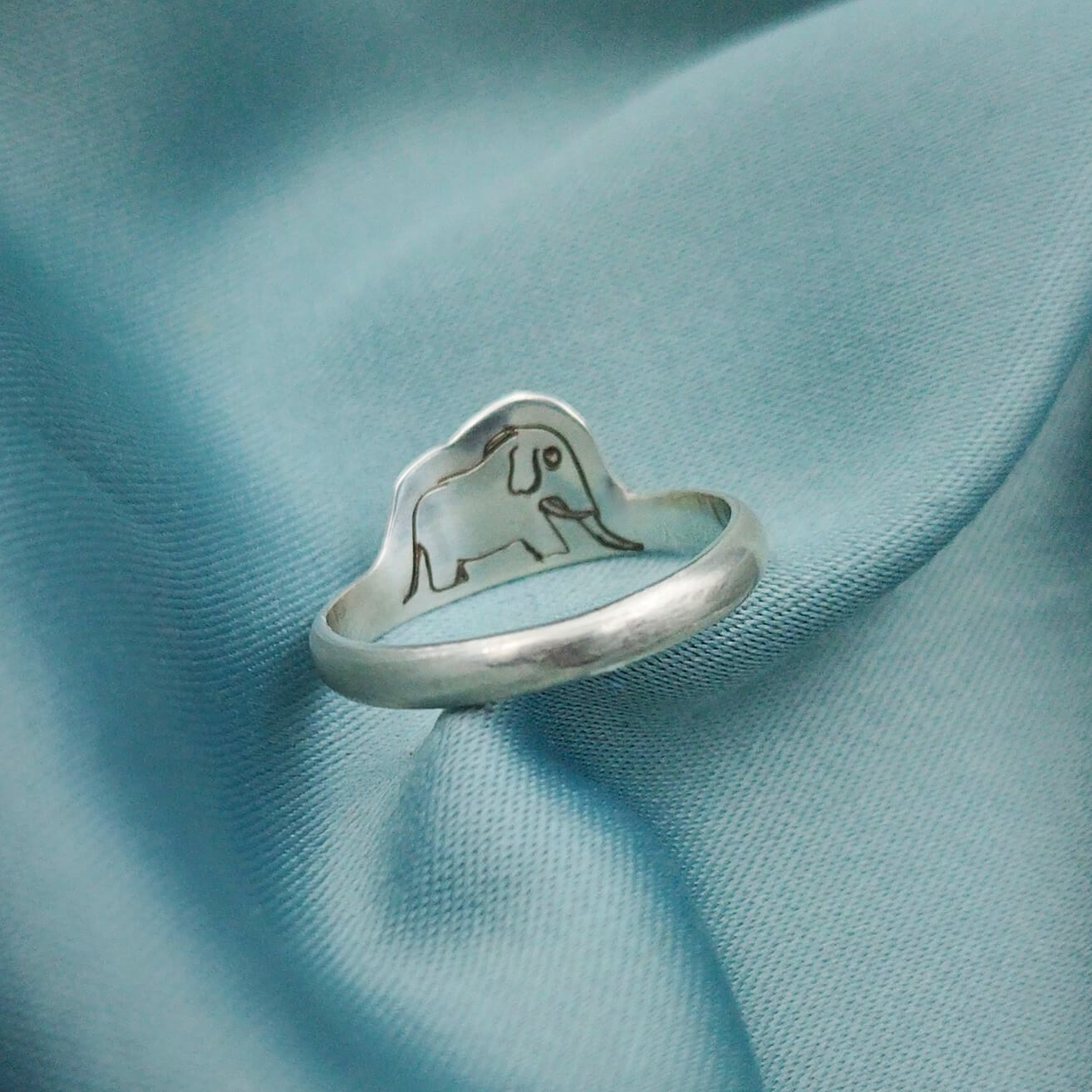 Anillo Boa Abierta y cerrada El Principito