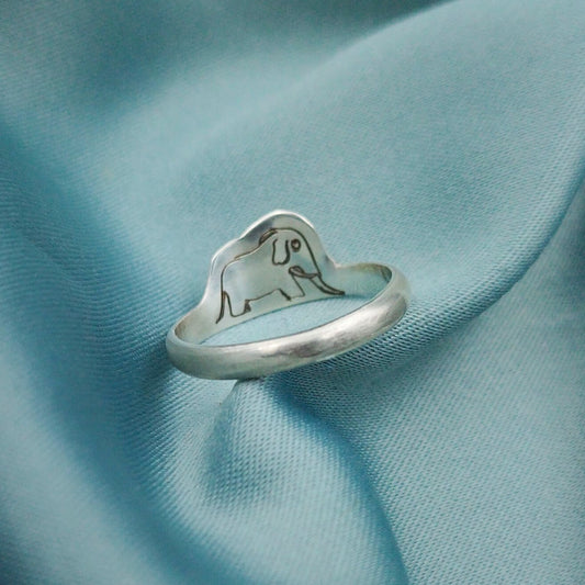 Anillo Boa Abierta y cerrada El Principito