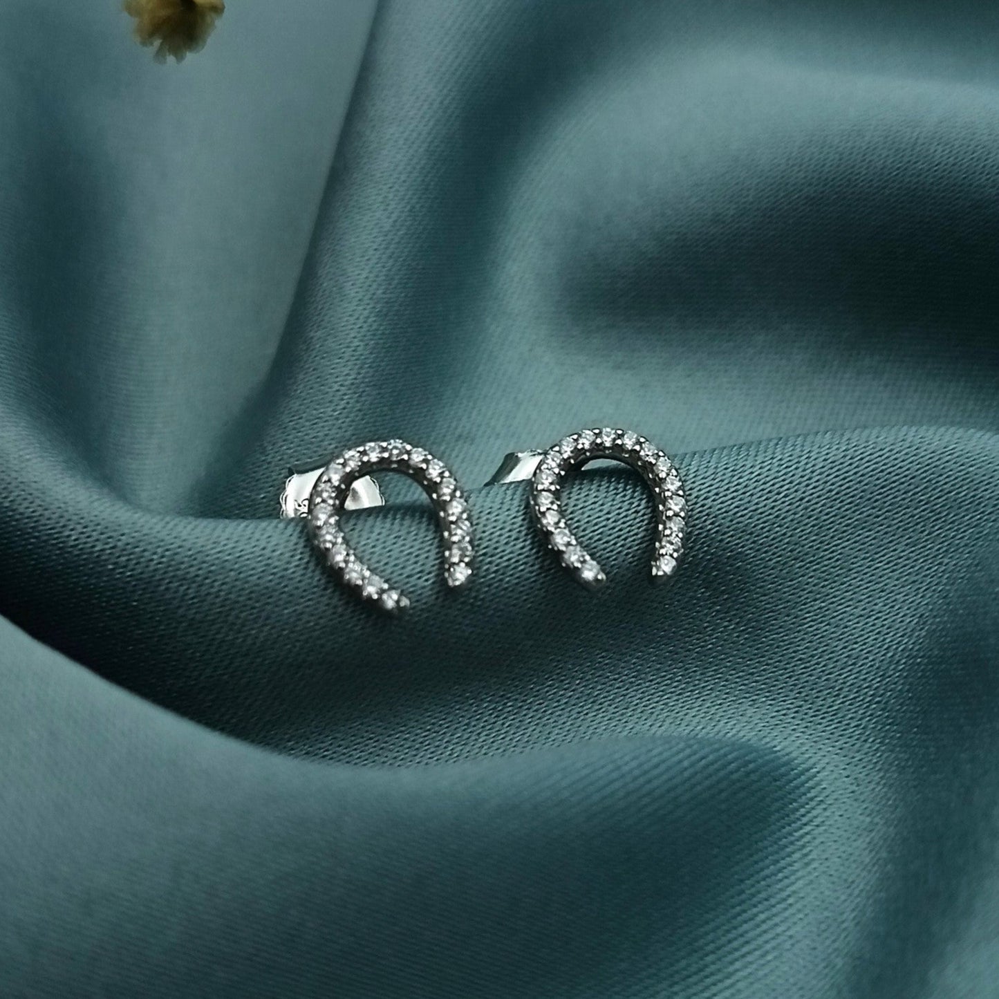 Aretes Herraduras