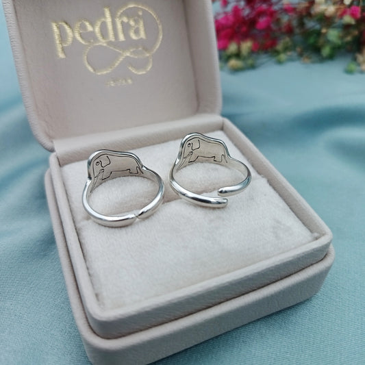 Anillo Boa Abierta y Cerrada El Principito