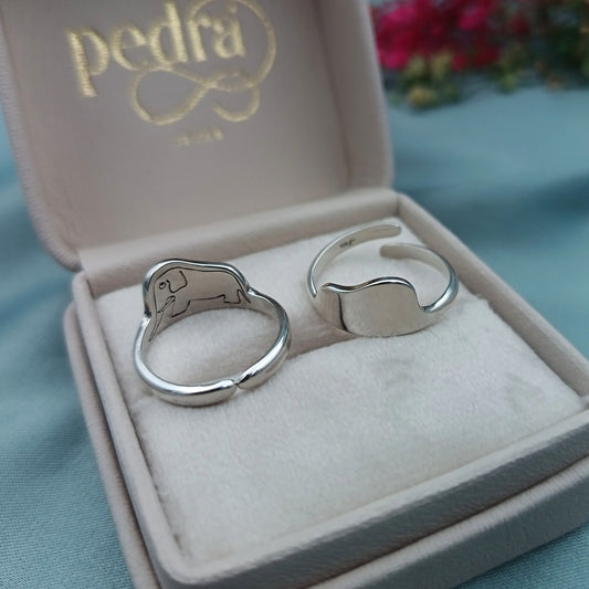 Anillo Boa Abierta y Cerrada El Principito