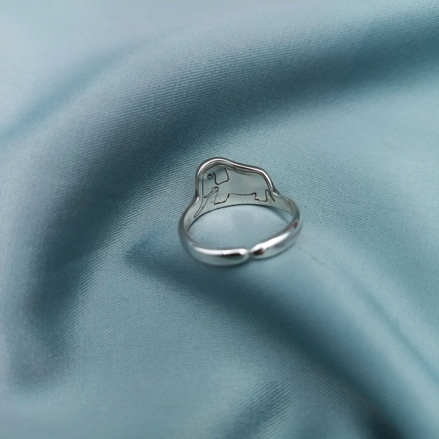 Anillo Boa Abierta y Cerrada El Principito