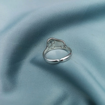 Anillo Boa Abierta y Cerrada El Principito