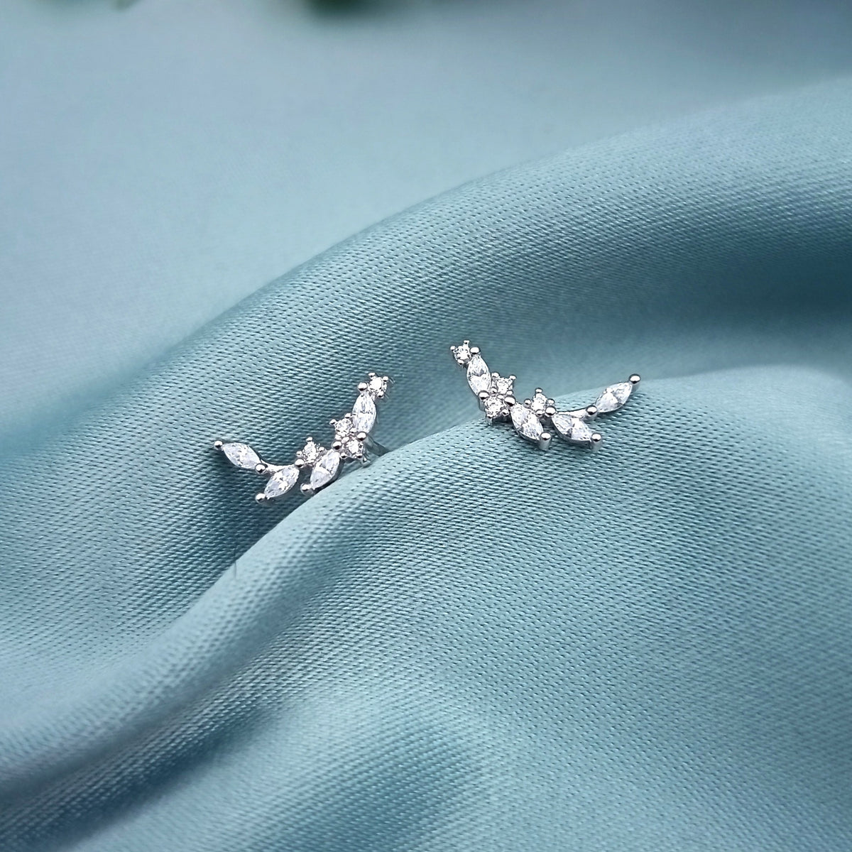 Aretes Ramitas brillantes