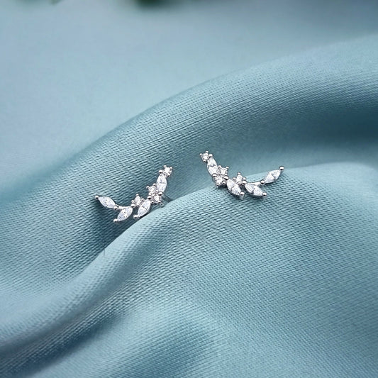 Aretes Ramitas brillantes